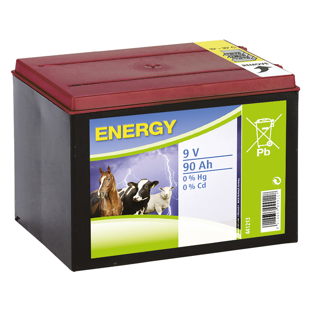 BATTERIA PER ELETTRIFICATORE 9V - 170 Ah