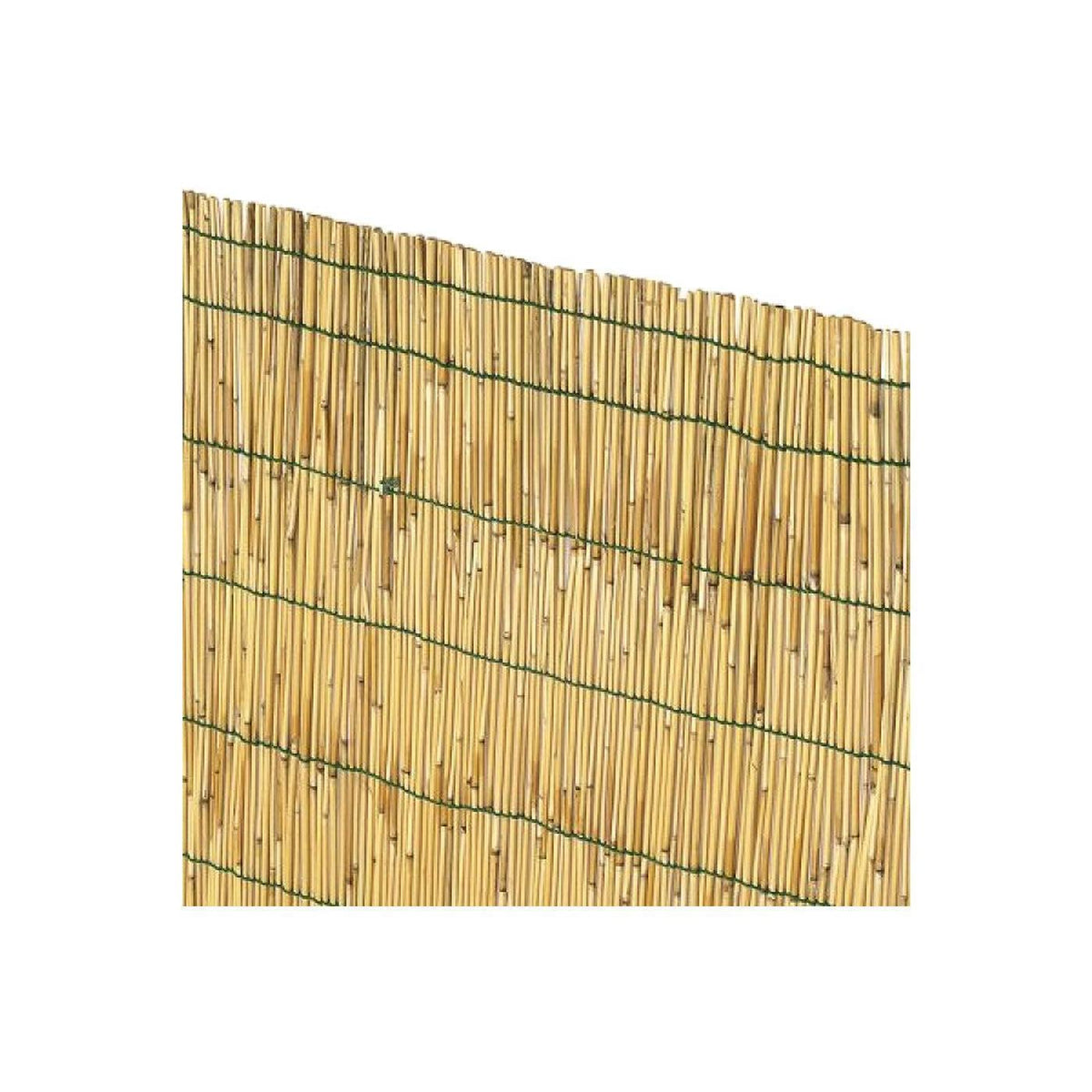 ARELLA CANNA FILO PASSANTE cm 200 x 500