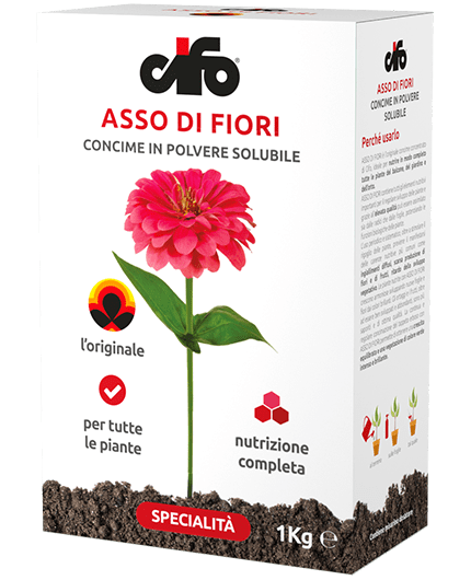 CONCIME Asso di fiori Cifo 1 kg