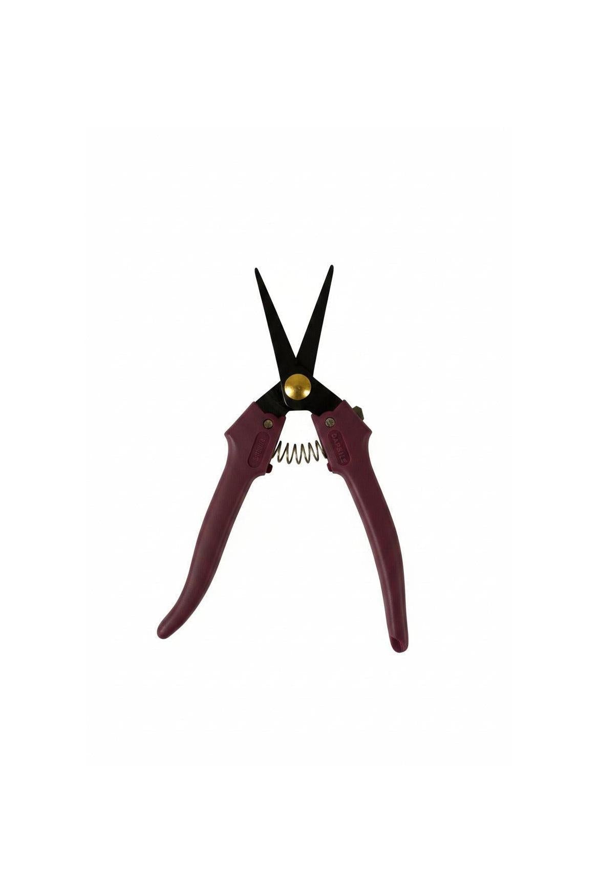 Forbici Cogliuva Vinaccia