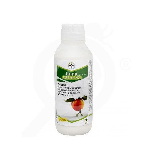 Luna Experience SC400 Bayer: Fungicida Combinato Fluopyram + Tebuconazolo