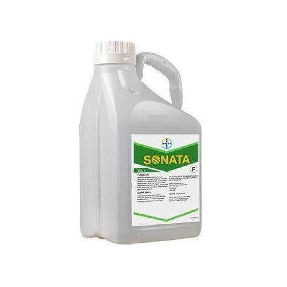 Sonata Bayer – Fungicida antioidico biologico a base di Bacillus pumilus
