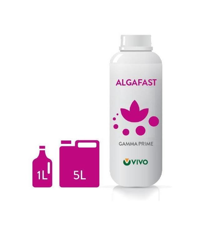 ALGAFAST VIVO BIO: Concime Organico Azotato con Alghe Brune e Aminoacidi