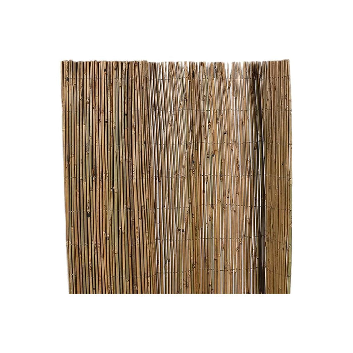 ARELLA FILO ESTERNO 'TAIM' cm 200 x 300