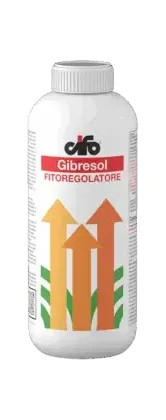 CONCIME Fitoregolatore Cifo Gibresol 5 SL, 1 L