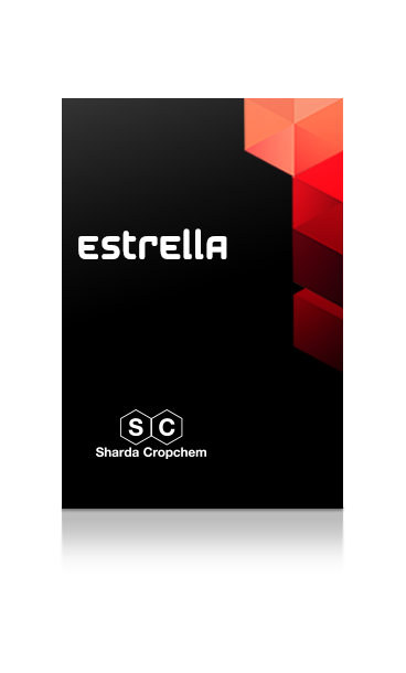 ESTRELLA Insetticida Ampio Spettro Lambda-cialotrina pura 2,5 g Coformulanti q.b. a 100 g