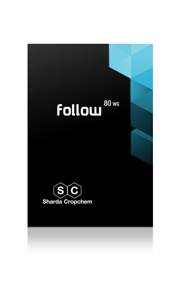 FOLLOW 80 WG Fungicida (Captano 80%)