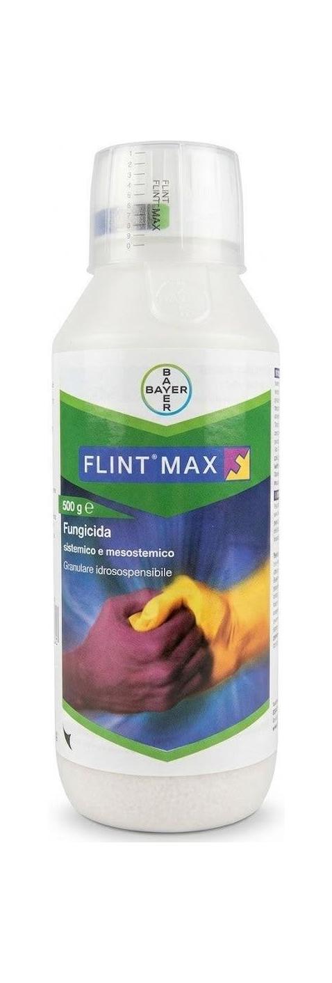 Flint Max Bayer: Fungicida per la Difesa dell'Olivo