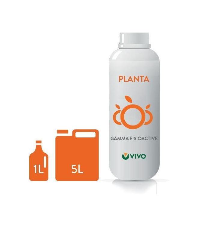PLANTA VIVO Bio - Biopromotore della Fotosintesi e Rinverdente