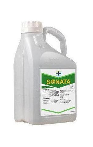 Sonata Bayer – Fungicida antioidico biologico a base di Bacillus pumilus