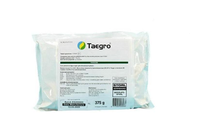 TAEGRO® Syngenta Fungicida Biologico - Bacillus amyloliquefaciens FZB24