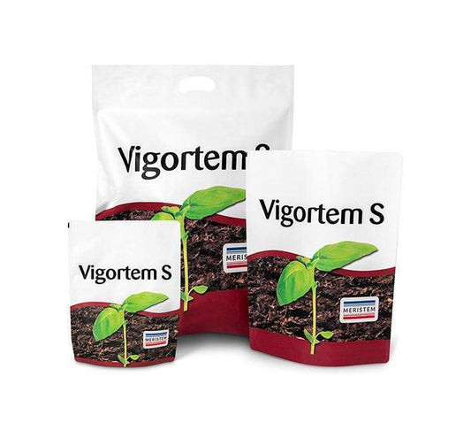 VIGORTEM S Meristem - Biostimolante Radicante e Ammendante Organico