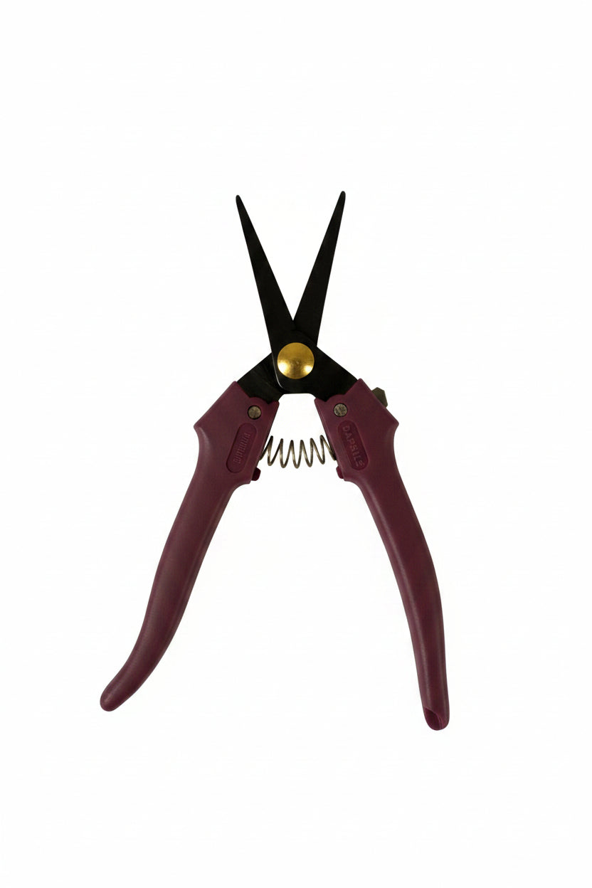 Forbici Cogliuva Vinaccia